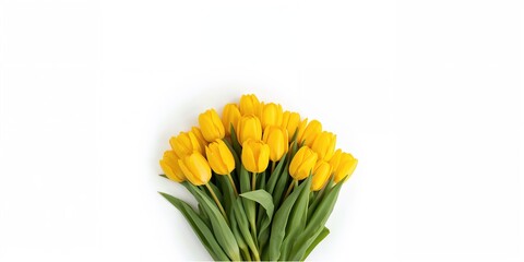 Fototapeta premium Bouquet of fresh tulips with yellow petals, ideal for floral arrangements and greeting cards