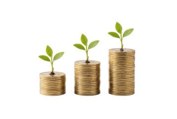 Stacks of golden coins with green sprouts isolated PNG, concept of financial growth and investment, business development and success