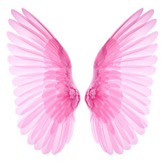 Fototapeta premium Pink flower isolated on white with a beautiful vector illustration of a flying heart with angel wings and a valentine love symbol design