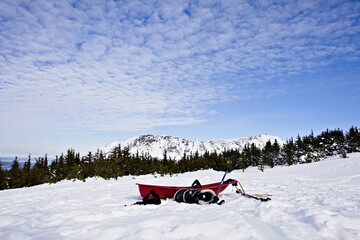 A red sled and winter gear rest on a snowy field beneath the Chugach Mountains in Alaska, framed by evergreen trees and a sky filled with textured clouds.