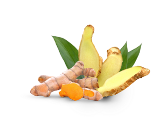 Fresh turmeric and sliced ginger, well-known Thai herbal ingredients prized for their health and medicinal properties on transparent.
