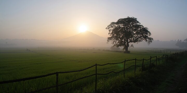 Fog obscures Ngadas village on a Malang farm, emphasizing seasonal change and landscape preservation