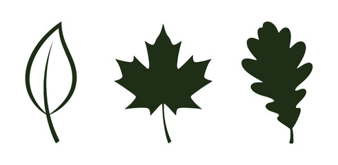Three stylized autumn leaves in silhouette and outline