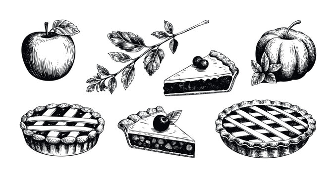 Rustic hand drawn black and white illustrations of apples, pumpkins, and various fruit pies and pie slices, perfect for seasonal culinary themes and vintage food packaging