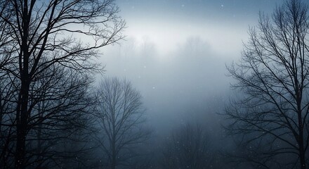 Snowy foggy forest scene with bare trees silhouetted against a pale blue obscured background