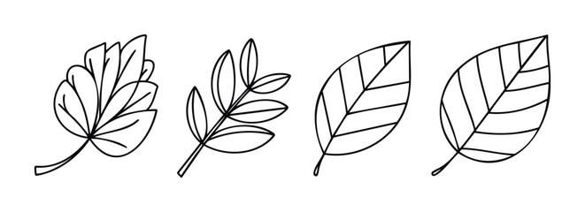 Fototapeta premium Collection of simple line drawings of different types of leaves for organic, nature, and botanical themes.