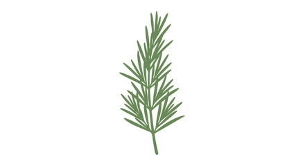 Obraz premium Stylized rosemary sprig isolated on white background suitable for culinary or botanical designs illustration botanical drawing herbs icon organic