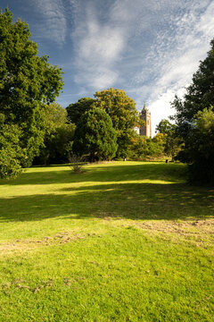 Cabot Tower Shot From Brandon Hill