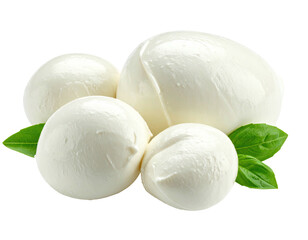 Four white, soft, round balls, dairy food, with basil leaves. Isolated on black