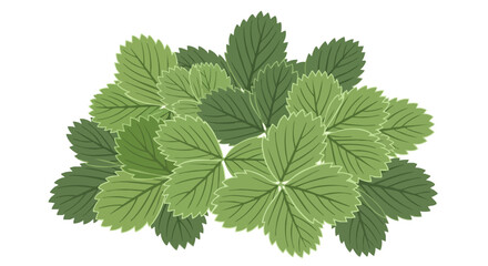 Vibrant botanical illustration featuring a cluster of stylized, fresh, green strawberry leaves with detailed vein patterns against a clean white