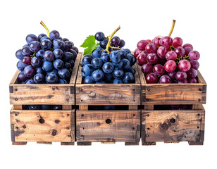 Three wooden crates each filled with different colored grapes, on a black background