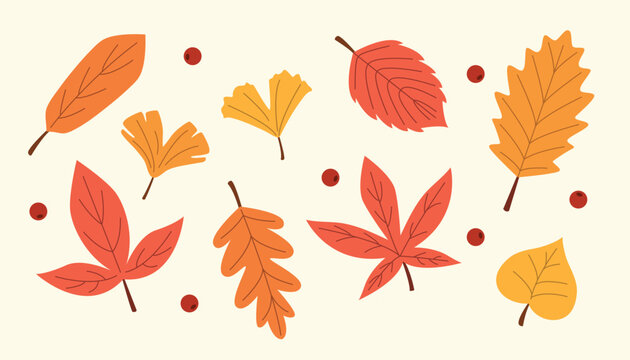Various Autumn Leafs Set, Thanksgiving Greeting Card Elements, Hand-Drawn Fall Foliage Illustration