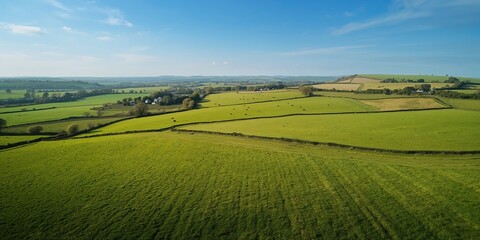 Fototapeta premium 3D illustration of human lungs with tumor cells, highlighting medical imaging techniques, for scientific and educational purposes