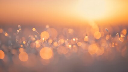 Dreamy golden sunrise nature scene with bokeh lights and abstract flowers
