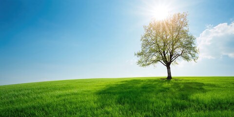 Fototapeta premium Burned tree with lush grass beneath a blue sky, emphasizing ecological resilience and seasonal growth
