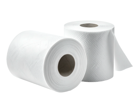 Two white, textured rolls of bathroom tissue with central cardboard cores, isolated