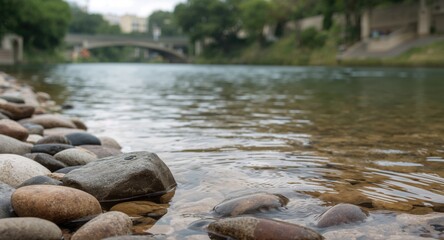 A schoolboy with a scooter crossing a street at a pedestrian crosswalk during summer, focused on safety,
