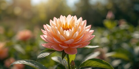 Closeup of a blooming flower with green petals in a garden background, emphasizing natural beauty during spring, Earth Day