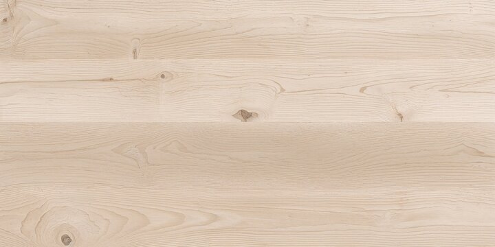 Natural silver birch wood background used for text and layout design, seasonal change