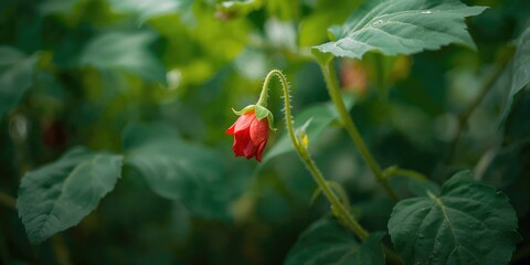 Clear plastic sheet with polycarbonate pattern used as a protective cover for surfaces, maintenance or safety focus