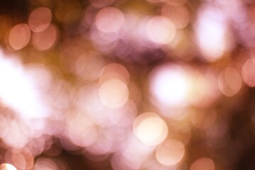 Soft focus light orbs create a dreamy and ethereal background composition