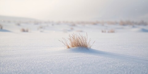 Spring lambs resting in lush grass under sunlight, emphasizing pastoral tranquility