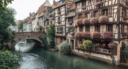 Half-timbered houses and canal viewed from Strasbourg, emphasizing historic architecture and urban waterways