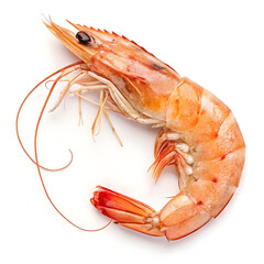 A single piece of raw prawn is isolated on a white background, highlighting its freshness, texture, and suitability