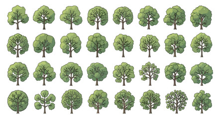 Collection of various cartoon-style deciduous trees with green foliage, isolated on a white background © Saskia
