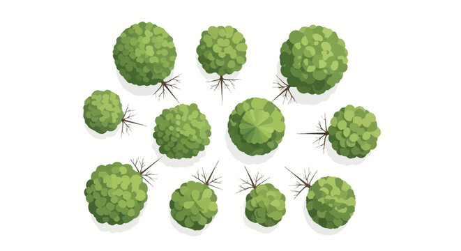 Top view illustration of various green round trees and bushes on a white background, perfect for architectural plans or landscape design.
