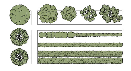 Top-down architectural drawing symbols for various trees and hedges in landscape design. © Selena