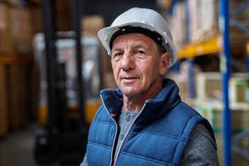 Portrait of mature warehouse worker with helmet.