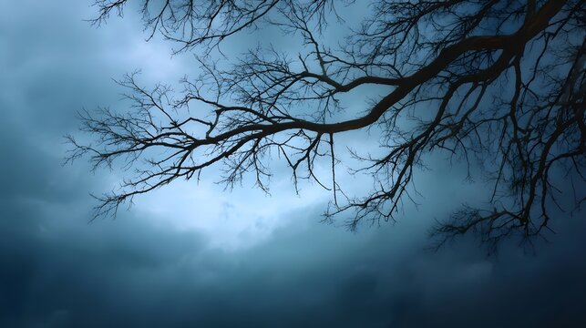 Bare tree branches silhouetted against a dramatic dark and stormy twilight sky with heavy clouds