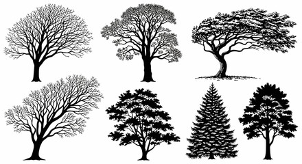 Various Tree Silhouettes A Diverse Collection of Nature's Majestic Forms for Design & Illustration