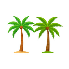 Obraz premium Palm tree illustration, summer vacation silhouette on tropical beach isolated on white background