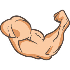 Cartoon illustration of a flexed arm showing bicep muscle strength and power isolated on white background