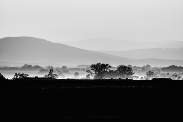 Mglisty, monochromatyczny krajobraz z warstwami wzgórz i drzew o świcie © Henryk Niestrój