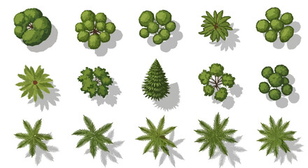 Elegant Calligraphic Swirls Collection for Decorative Design Elements – Ornate Hand-Drawn Flourishes and Scroll Dividers for Artistic Graphic Projects and Visual Compositions