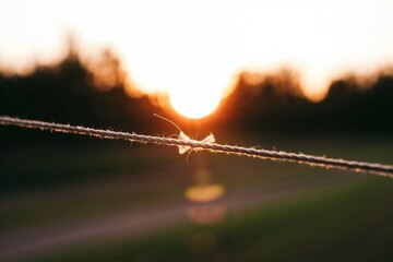 Sunset behind a barbed wire