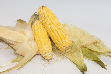 Sweet corn is tender and juicy, while flint corn is hard, colorful, and excellent for grinding.
