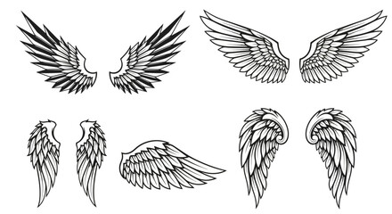 Fototapeta premium Various Stylized Angel Wing Illustrations for Design and Creative Projects