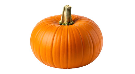 Obraz premium Orange Pumpkin with Textured Stem on Black Background