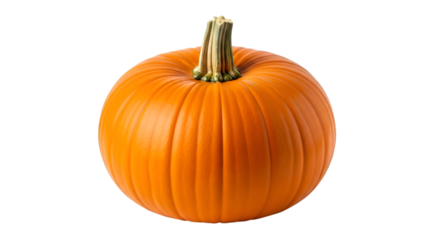 Orange Pumpkin with Textured Stem on Black Background