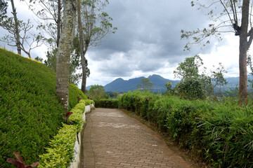Small mountain path with a beautiful green fence