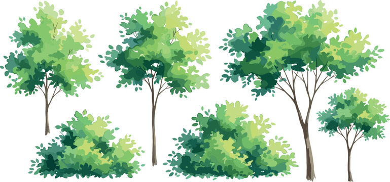 Collection of various green trees and bushes, ideal for outdoor scenery and nature-themed designs
