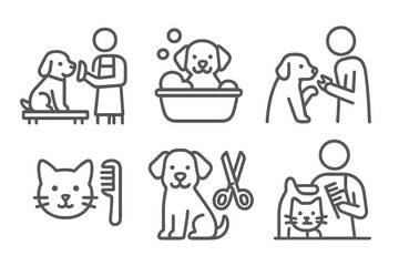 Professional pet grooming services and animal care procedures