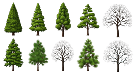 A Collection of Different Trees Isolated Transparent PNG