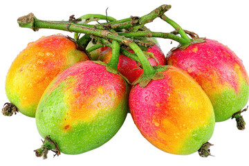 A Bountiful Display of Colorful Mangoes Glimmering with Freshness and Juiciness, Perfect for Any Tropical Fruit Enthusiast to Enjoy in Any Season