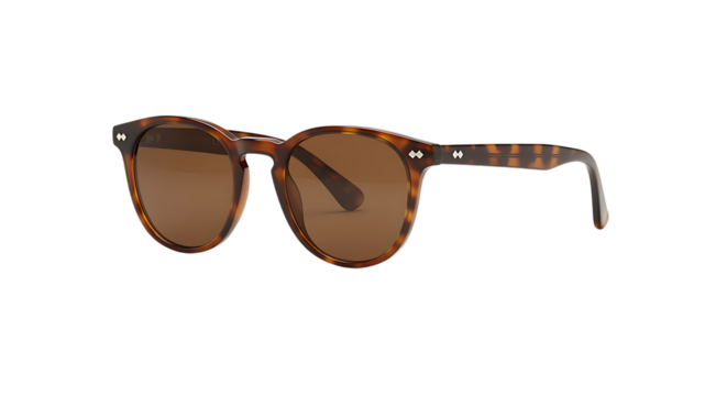 Stylish tortoise shell sunglasses classic design isolated view on transparent background.