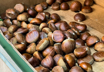 Brown chestnuts maroon nuts in a box at a supermarket 